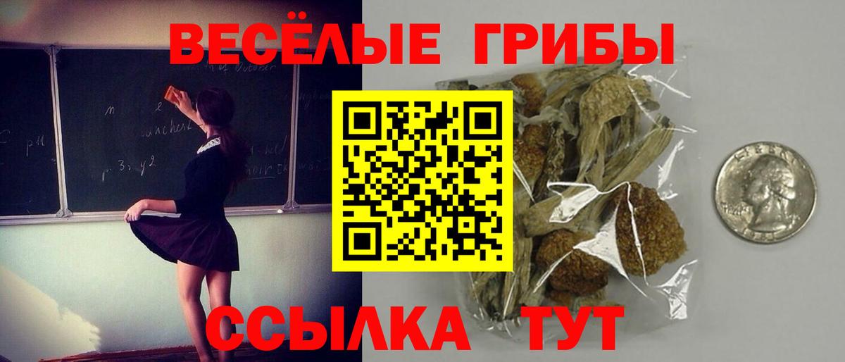 Псилоцибиновые грибы Psilocybe  Галлюциногенные грибы Psilocybine cubensis  Вход с VPN  Когалым 